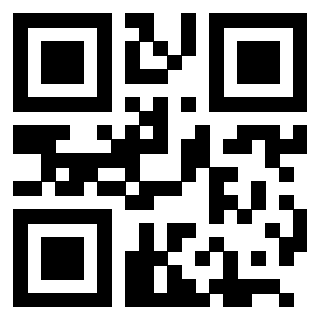 QrCode di 3205569746