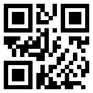 Il Qr Code di 3205607968