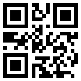 QrCode di 3205608013