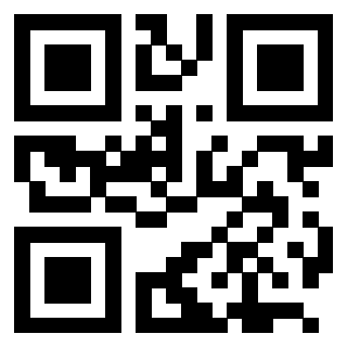 3205608041 QrCode associato