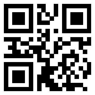 QrCode di 3205608215
