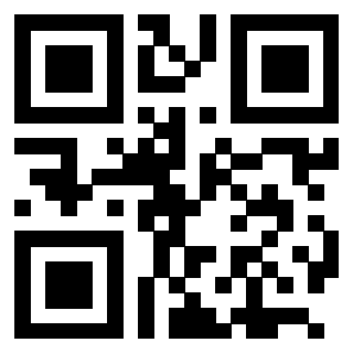 QrCode di 3205608243