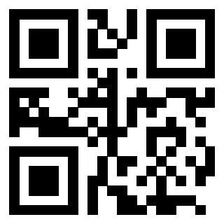 QrCode di 3205608296