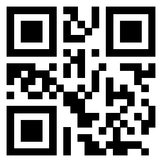 Il Qr Code di 3205608303