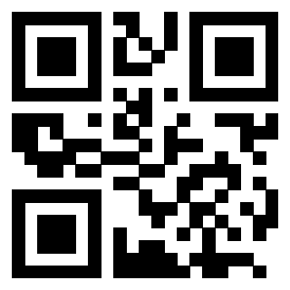 QrCode di 3205608349