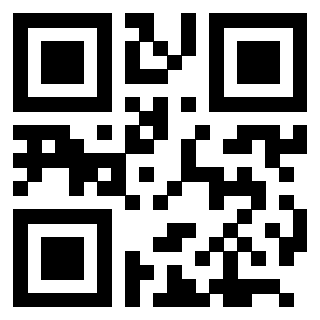 3205608672 - Immagine del QrCode