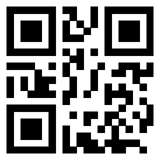 QrCode di 3205608693
