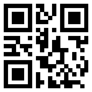 3205630494 QrCode associato