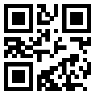 3205673335 QrCode associato
