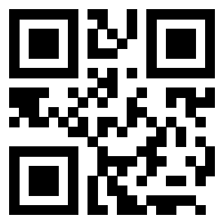 QrCode di 3205739995