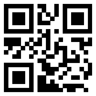 QrCode di 3205740384