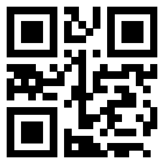 Il Qr Code di 3205949885