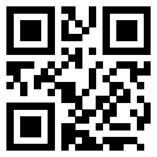 Il Qr Code di 3205950029