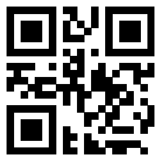 3205950101 QrCode associato