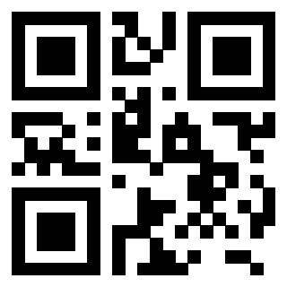 3206121536 - Immagine del Qr Code associato
