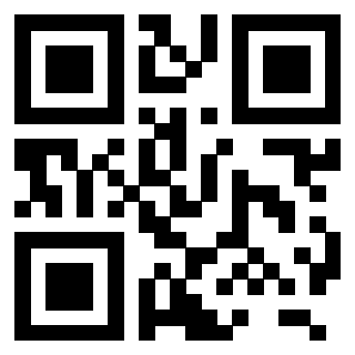 QrCode di 3206136304