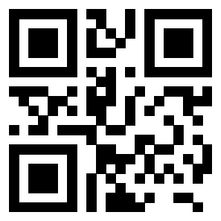 QrCode di 3206179029