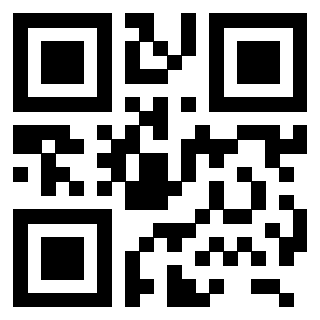 QrCode di 3206179290