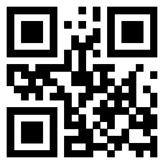 QrCode di 3206179313