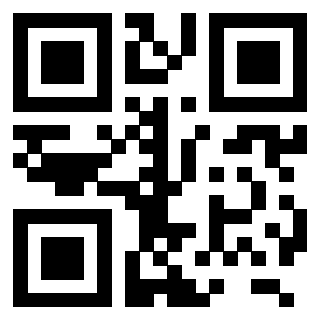 QrCode di 3206179687