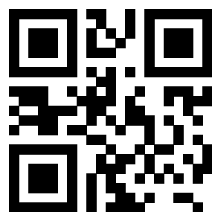 QrCode di 3206179981