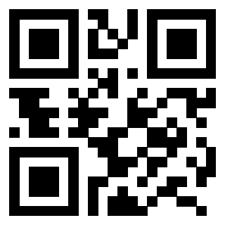 3206213091 QrCode associato