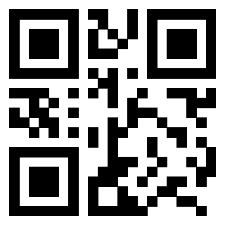 3206238336 - Immagine del QrCode associato