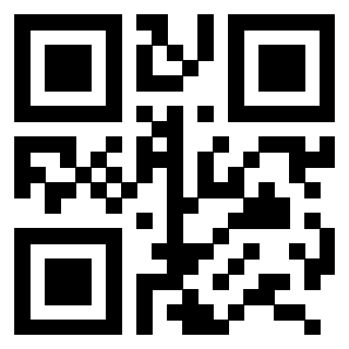 3206244040 Qr Code associato