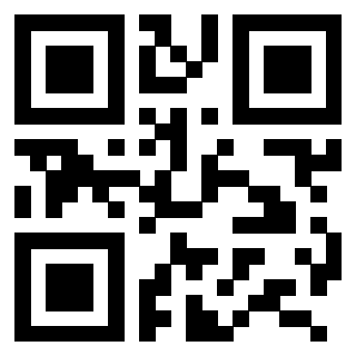 3206249333 Qr Code associato