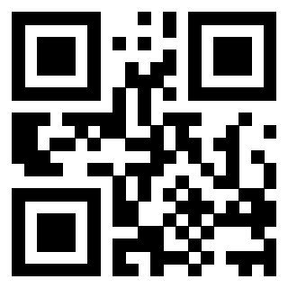 QrCode di 3206249381