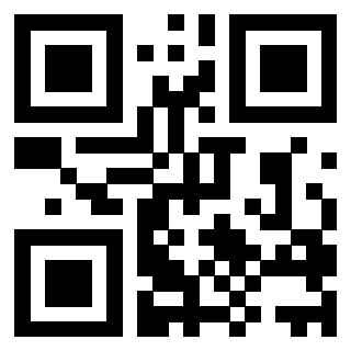 QrCode di 3206249943