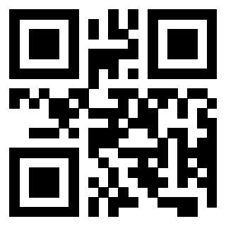 Il Qr Code di 3206250006