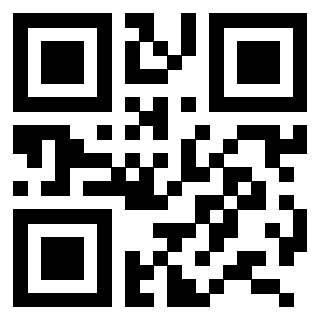 Il Qr Code di 3206250009