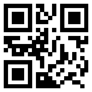 QrCode di 3206264304