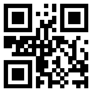 3206272256 QrCode associato