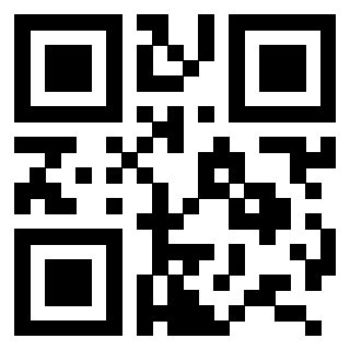 QrCode di 3206272503