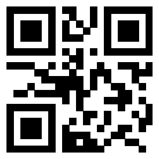 3206272513 - Immagine del Qr Code associato