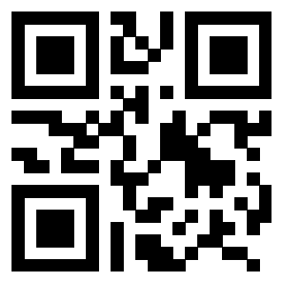 3206370106 QrCode associato