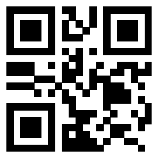 QrCode di 3206445616