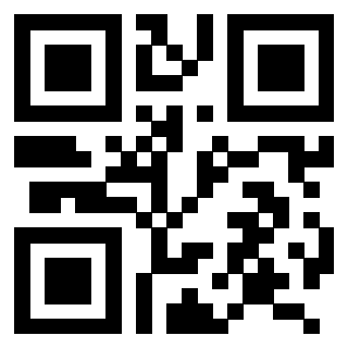 QrCode di 3206523203