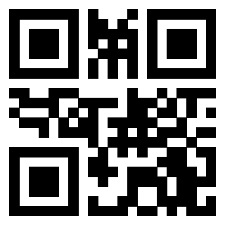 Il Qr Code di 3206525612