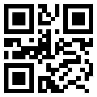 3206641244 QrCode associato
