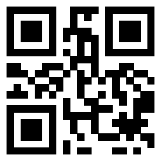 QrCode di 3206727327