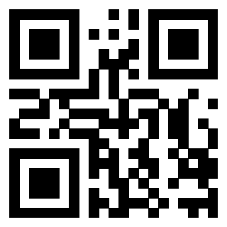 QrCode di 3206965117