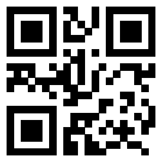3207060028 - Immagine del QrCode