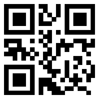 3207060287 Qr Code associato