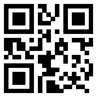 3207060502 - Immagine del QrCode associato