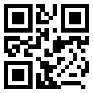 3208004808 - Immagine del QrCode associato