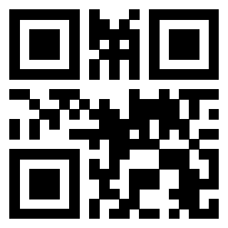 3208004960 QrCode associato