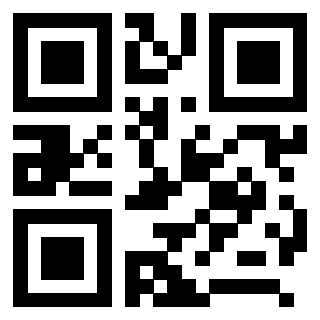 3208013091 - Immagine del Qr Code associato